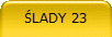 LADY 23
